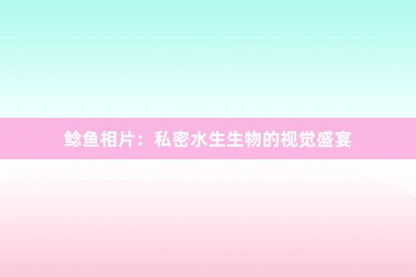 鲶鱼相片:私密水生生物的视觉盛宴